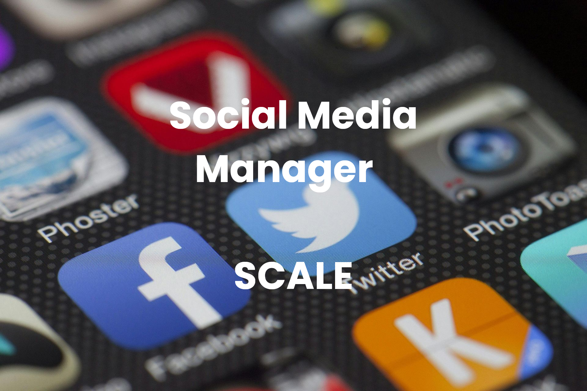 Social Media Management - Scale