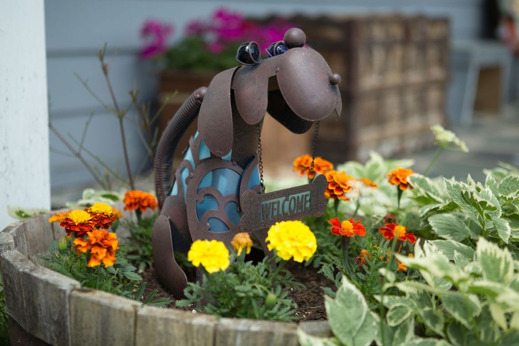 a metal dog statue is sitting in a planter filled with flowers .