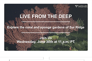 MBARI (Monterey Bay Aquarium Research Institute) Live from the Deep