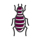 Flea Icon — Cuba, MO — A & A Pest Control Technologies LLC.