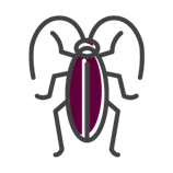 Roach Icon — Cuba, MO — A & A Pest Control Technologies LLC.
