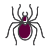 Spider Icon — Cuba, MO — A & A Pest Control Technologies LLC.