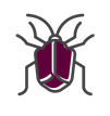 Stink Bug Icon — Cuba, MO — A & A Pest Control Technologies LLC.