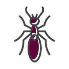 Termite Icon — Cuba, MO — A & A Pest Control Technologies LLC.