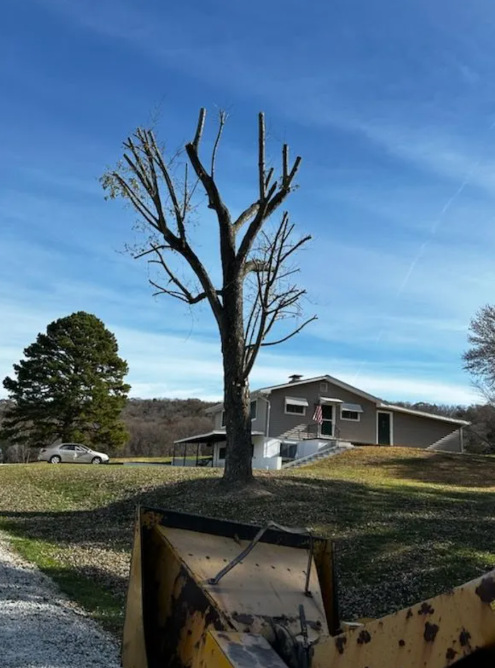 A tractor is cutting a tree in front of a house