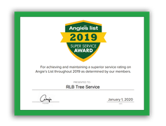 A certificate that says angie 's list 2019 super service award