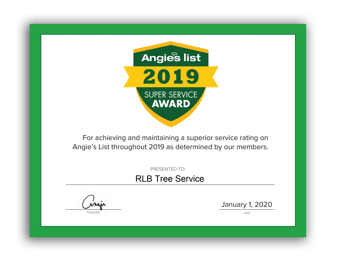 A certificate that says angie 's list 2019 super service award