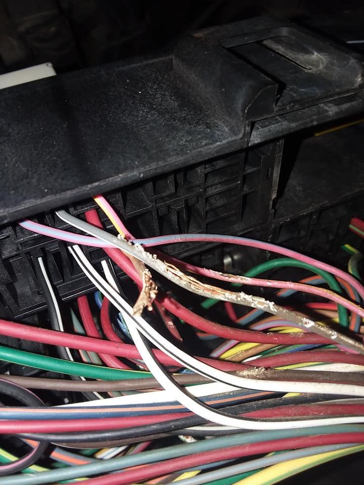 Close-up of a damaged wire bundle near a black fuse box, with exposed and corroded wires of various colors.