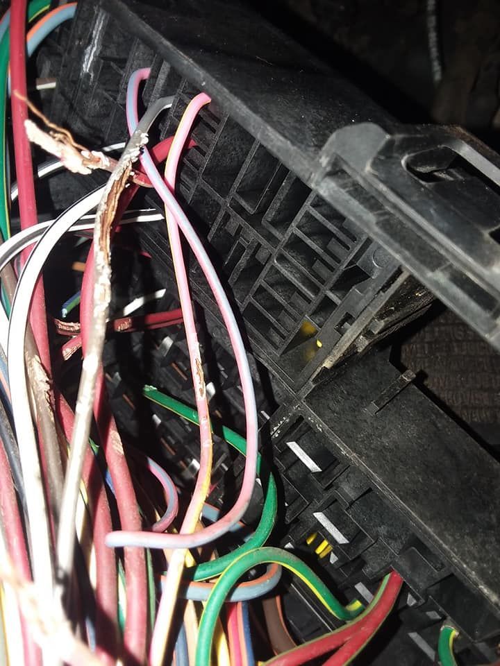 Close-up of a black fuse box with a bundle of multi-colored electrical wires. Several wires show exposed, damaged insulation.