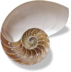 AFFITTO
LOCAZIONE BREVE TURISTICA