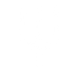Moser Cicli logo