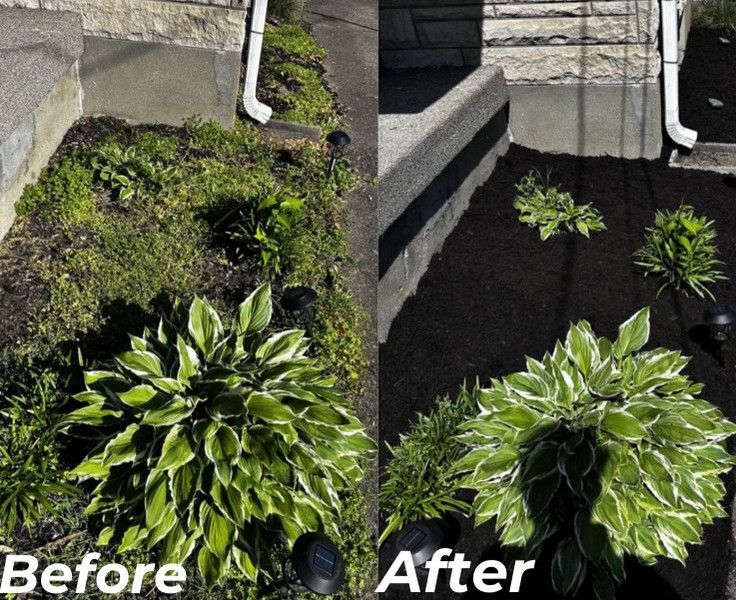A before and after picture of a garden