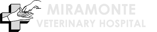 Miramonte Veterinary Hospital