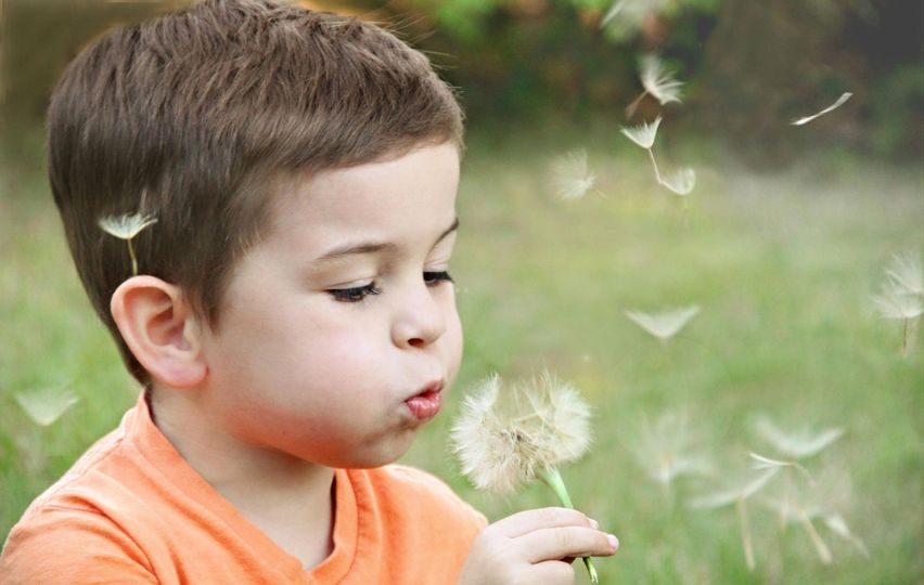 A young boy is blowing dandelions in a field.