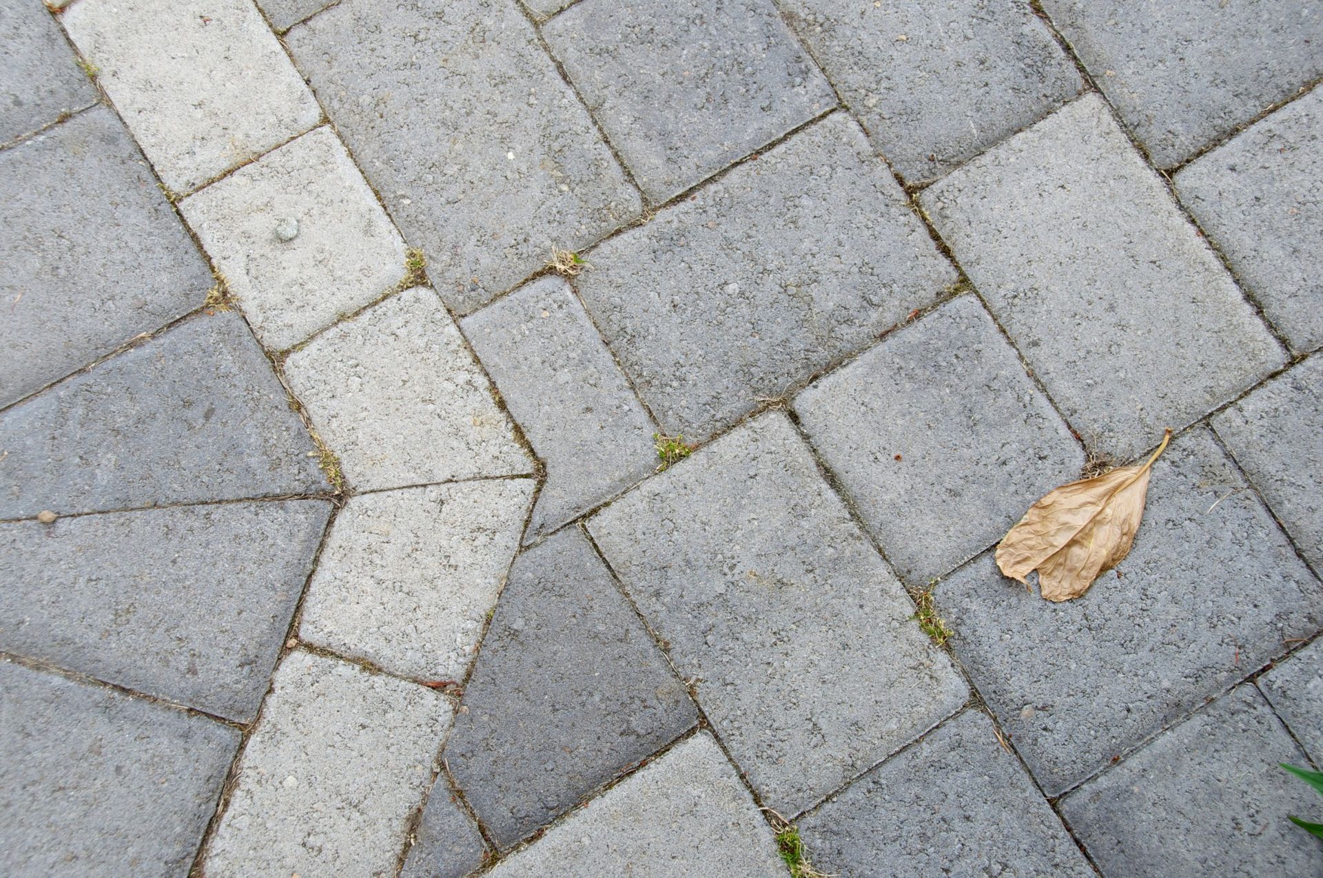 Paver Installation Jacksonville FL Pavers Installer