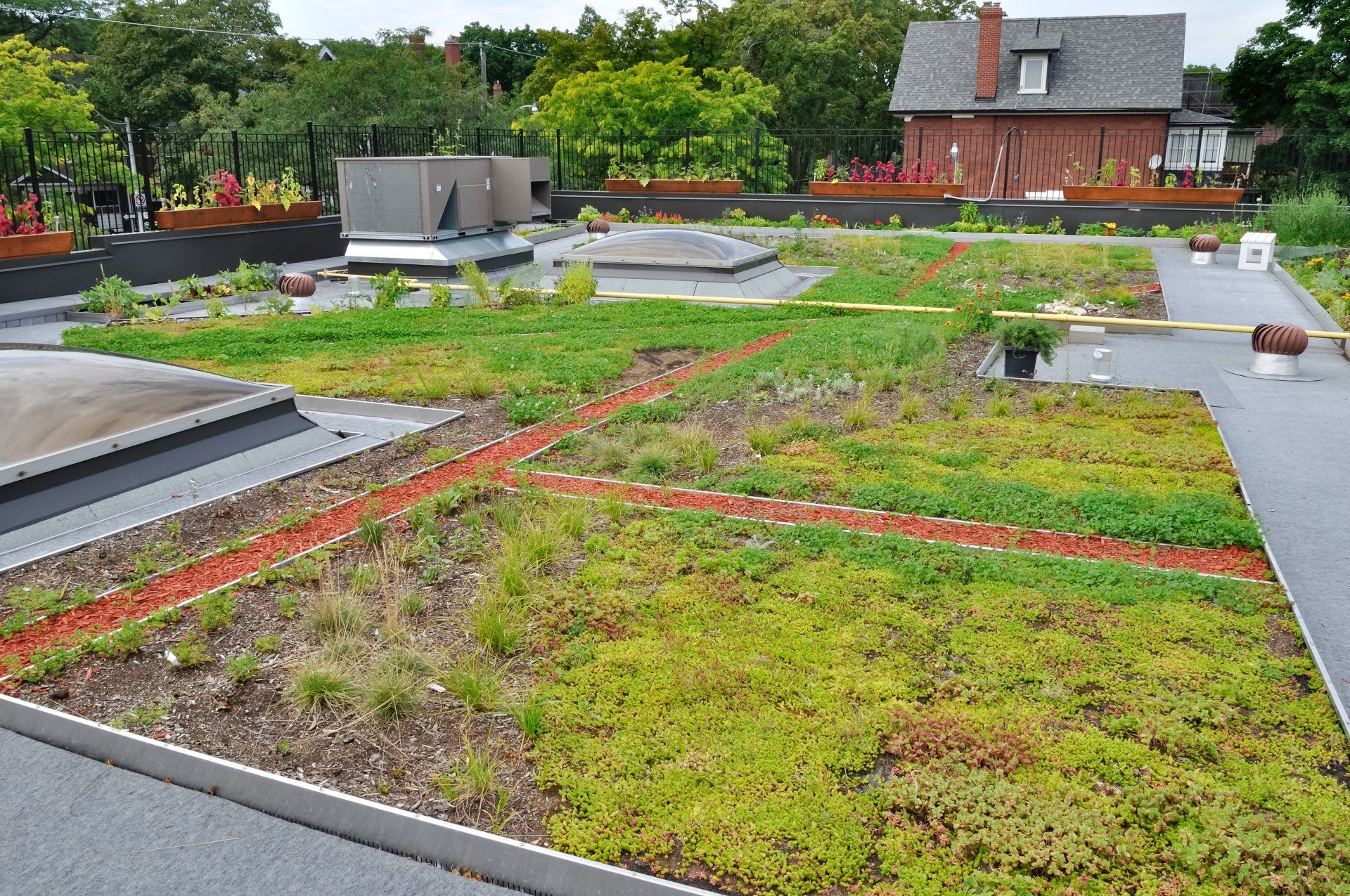 Город зеленых крыш. Зеленая кровля. Кровля с зелеными насаждениями. Green Roof.