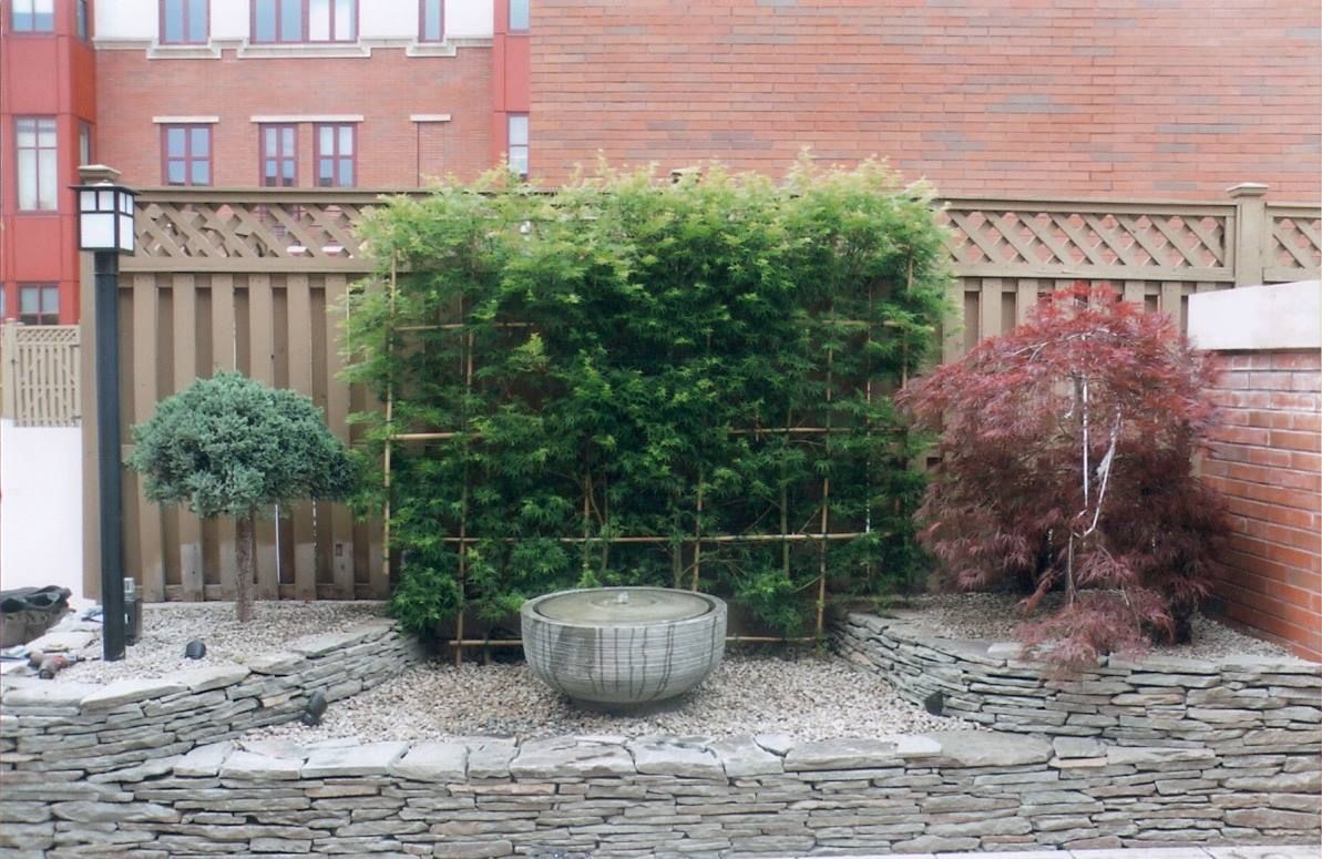 A backyard garden with a trellis covered in green foliage, a stone fountain, and a red tree.