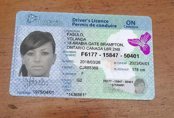 buy Canadian drivers license online