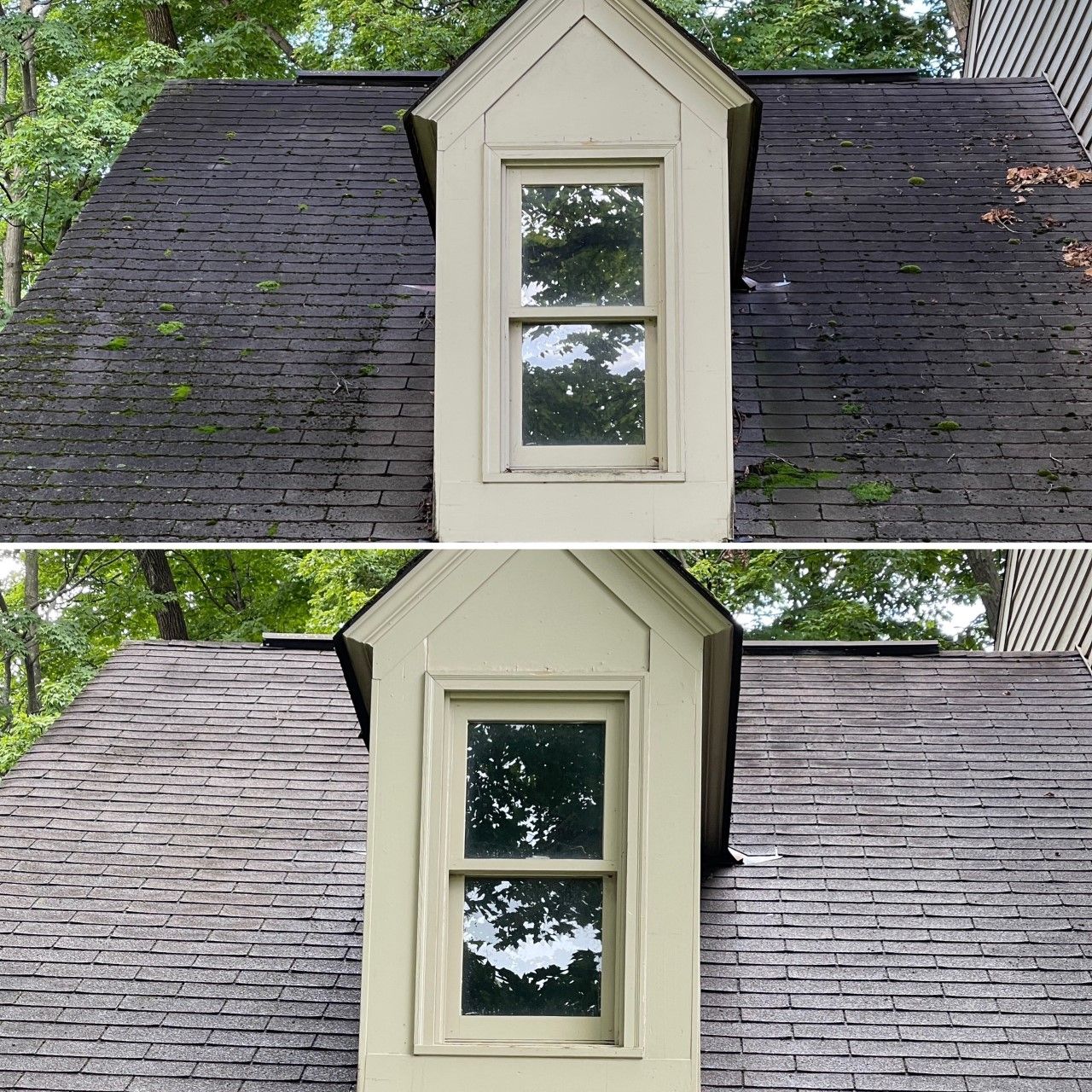 Before and After Asphalt Roof Washing — Cincinnati, OH — Cruz Pressure Washing