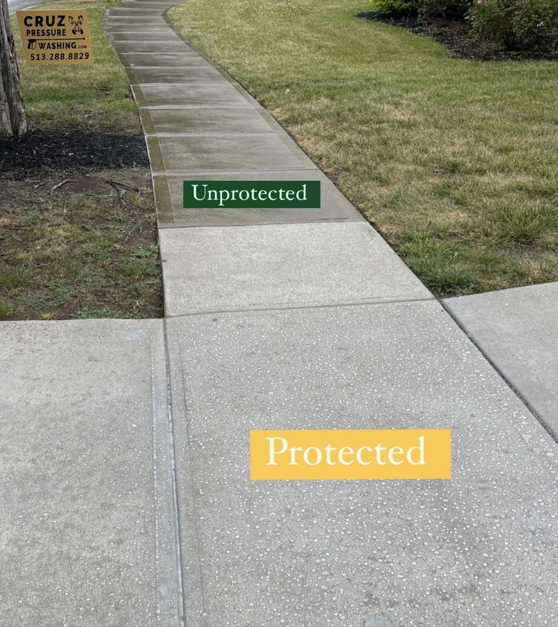 Protected and Unprotected Concrete Walkway — Cincinnati, OH — Cruz Pressure Washing