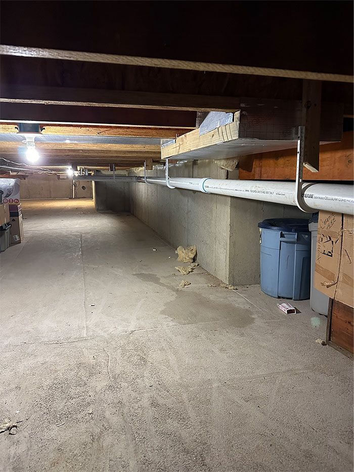 There is a trash can in the corner of the basement.