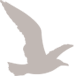 A shadow of a bird flying on a white background.