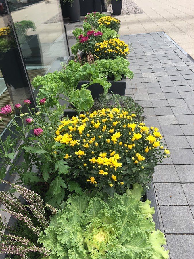 Dārza projektēšana 8