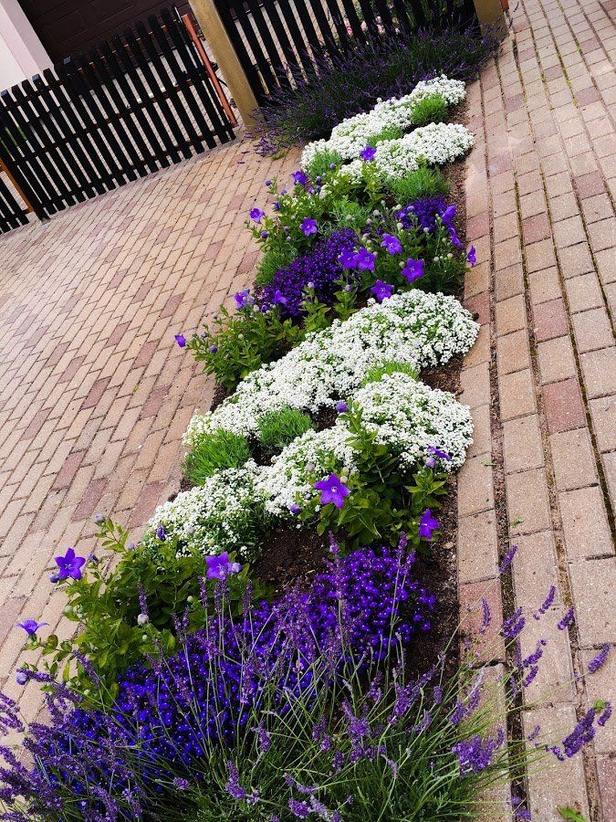 Dārza projektēšana 5