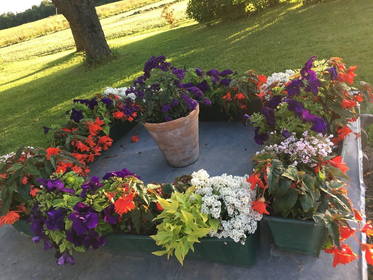 Dārza projektēšana 16