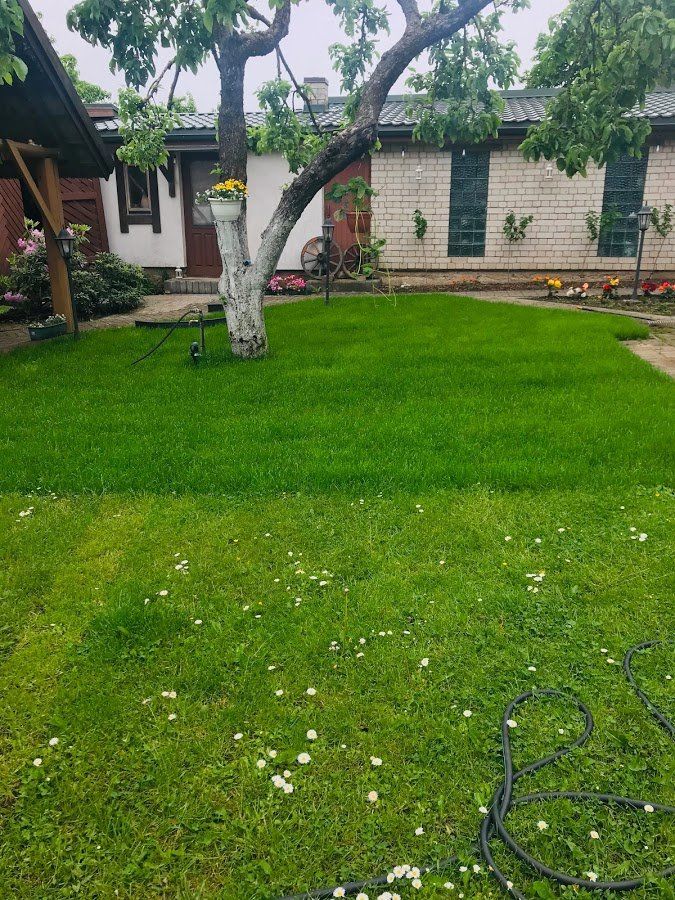 Zāliena vertikulēšana 4