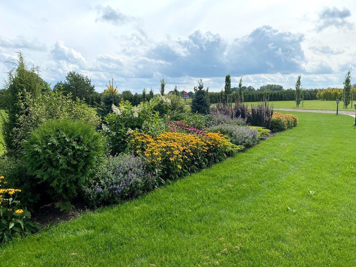 Zāliena vertikulēšana 11