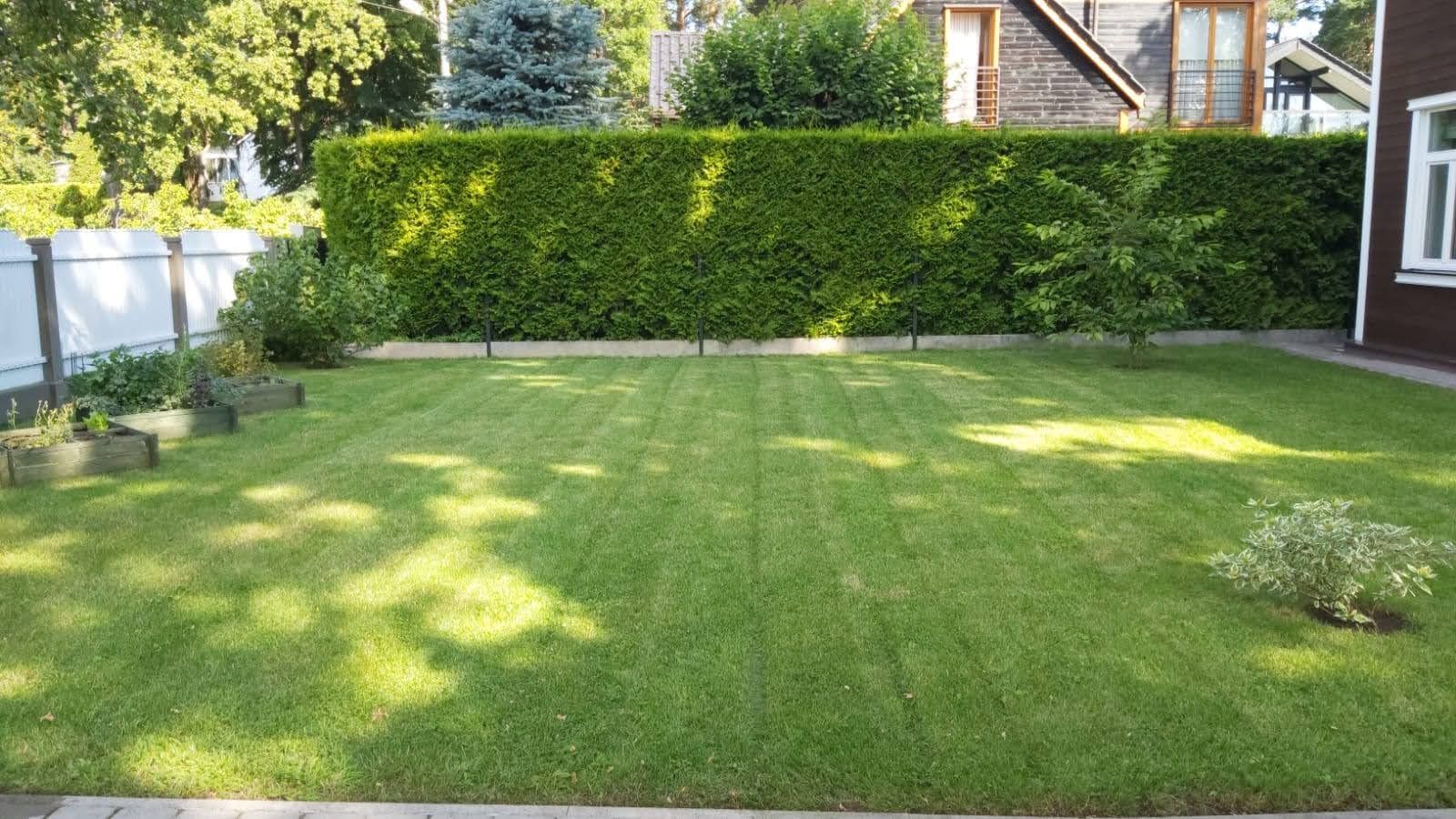 Zāliena vertikulēšana