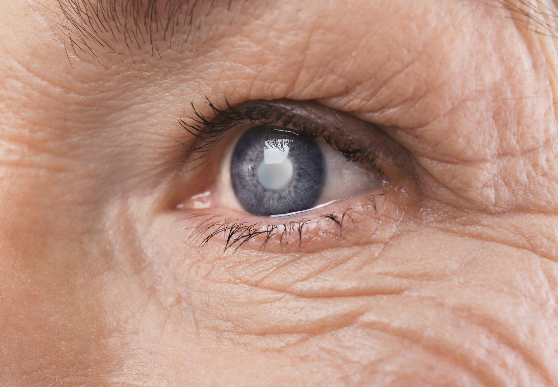 patients with eye diseases treated at Spectrum Retina & Ocular Oncology