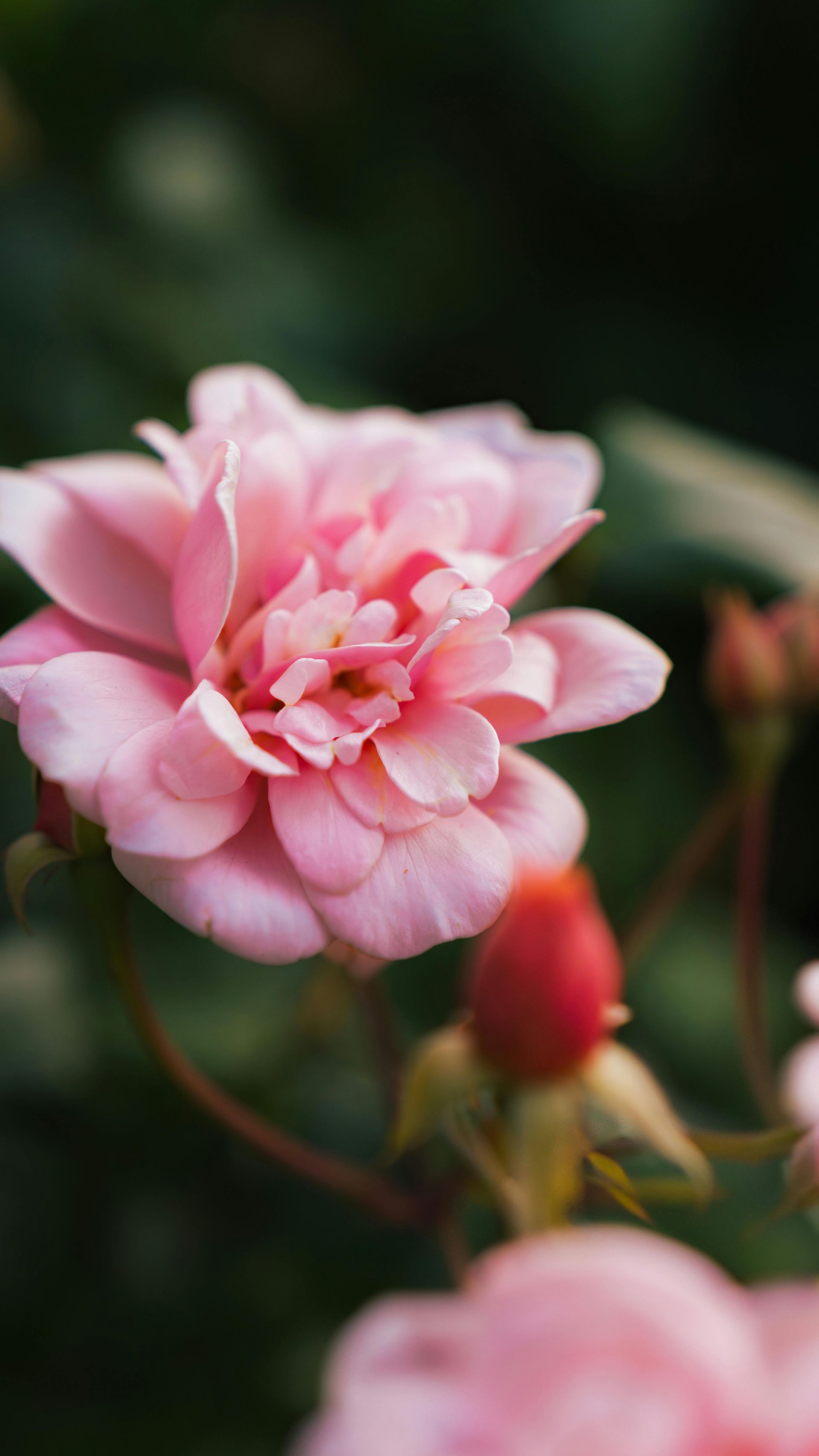 candele profumate del centro estetico
