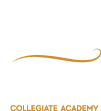 Strive Collegiate Academy, Enrollment, Logo