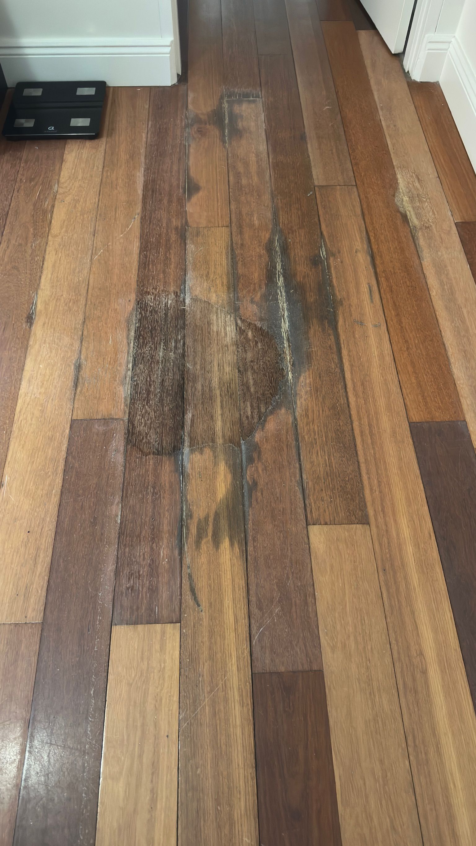 Timber floor repaired — before and after comparison