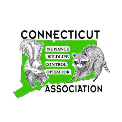Logo for the Connecticut Nuisance Wildlife Control Operator Association with a skunk, raccoon, and CT outline.