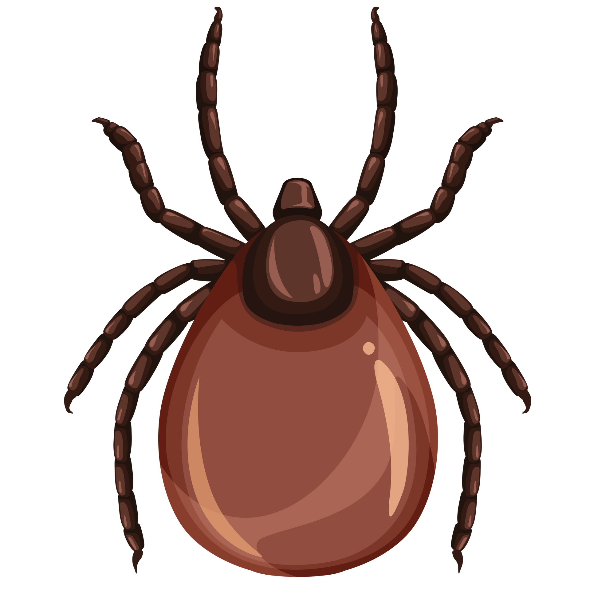 How Tick Control Works
