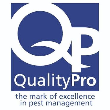 Quality Pro Certified