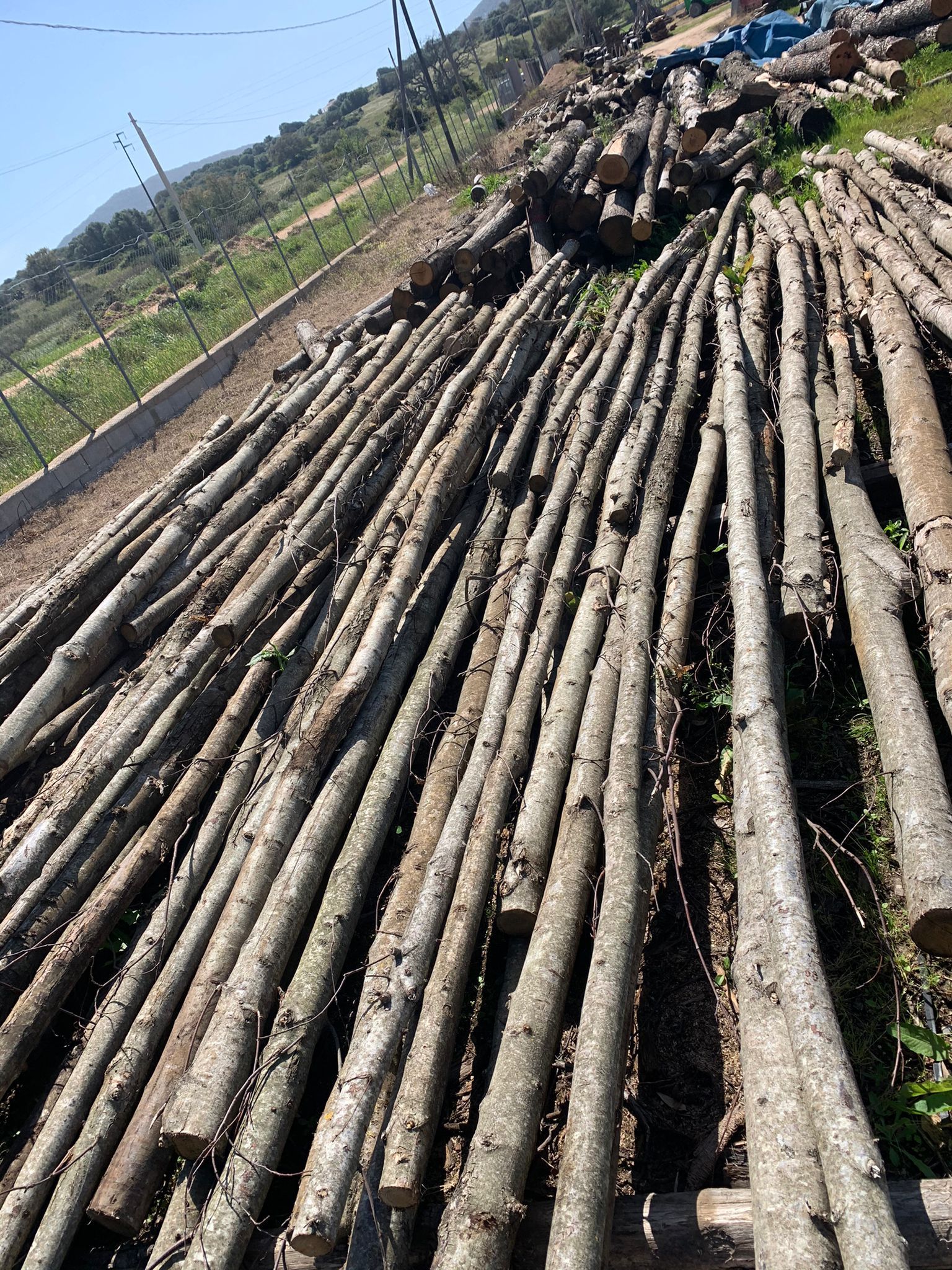 LEGNAMI BUFFA E PIREDDU Olbia