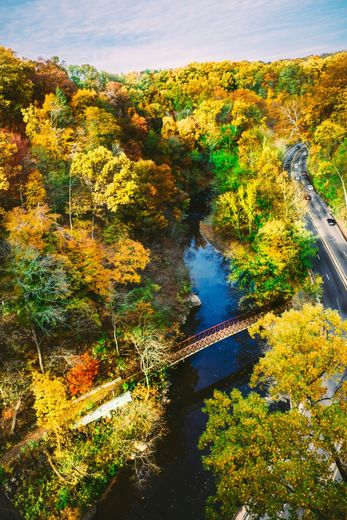 An aerial view of a river surrounded by trees and a bridge.