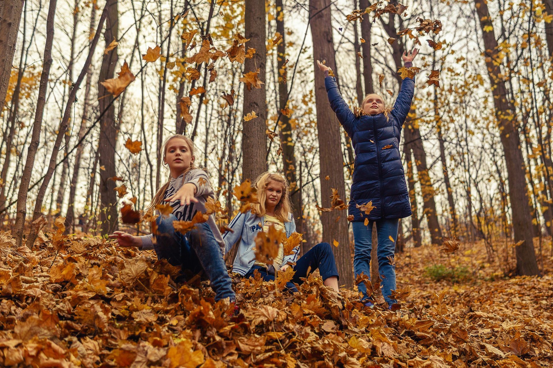 Three children are sitting in a pile of leaves in the woods.