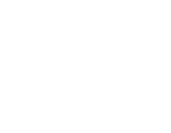 ROI Systems, Inc. Logo