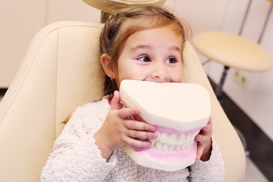 little girl holding big artificial dentures