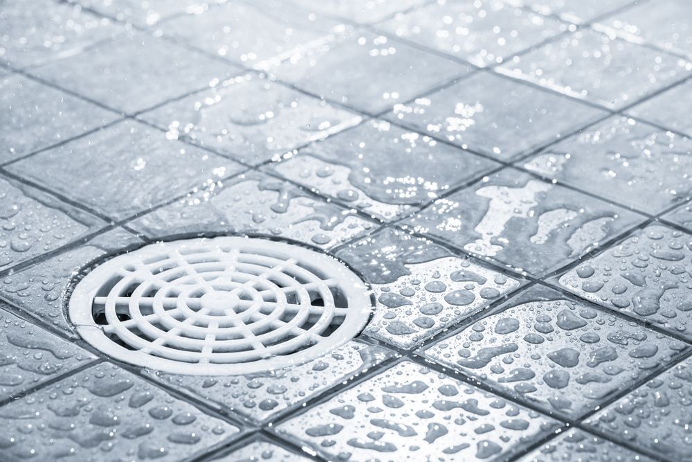 Shower Room Floor Drain for Efficient Drainage — CG Plumbing & Drainage In Maitland, NSW