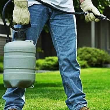 FUMIGADORA DEL NORTE PN