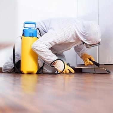 FUMIGADORA DEL NORTE PN