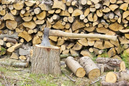 where to buy firewood in Denver