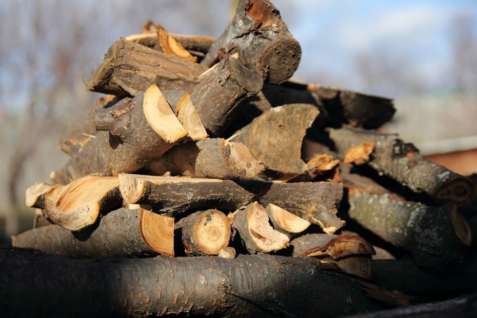 Types of Firewood, Quick Burning Fires, Denver, CO