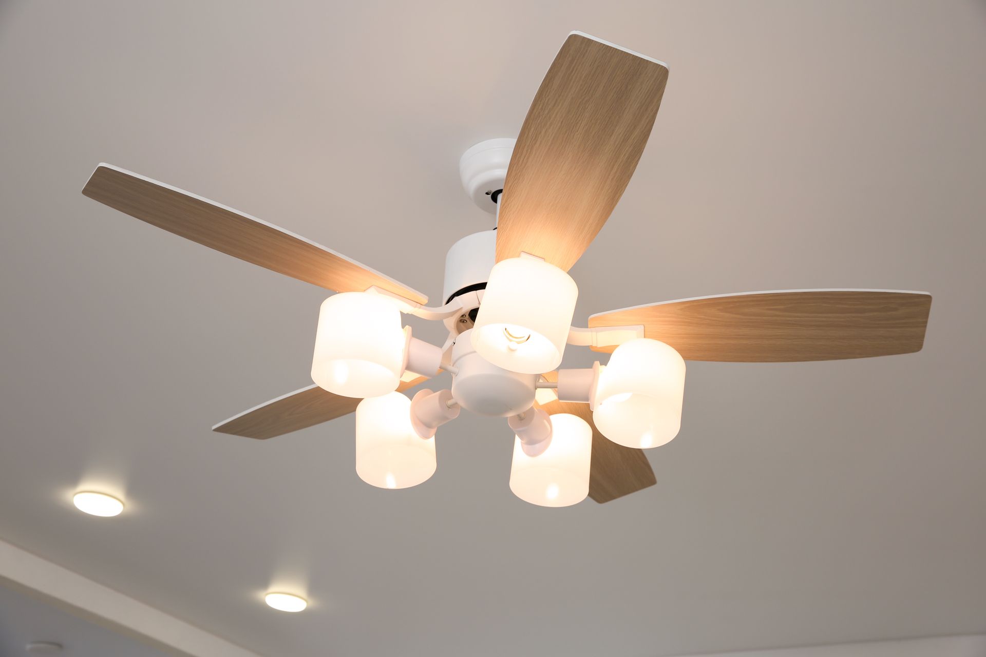 Ceiling Fan With Five Light Fixtures — Wetzel Electrical in Dapto, NSW
